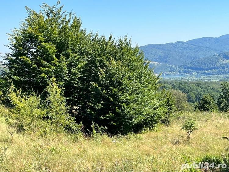 Teren de 10000 mp, în Alexandru cel Bun