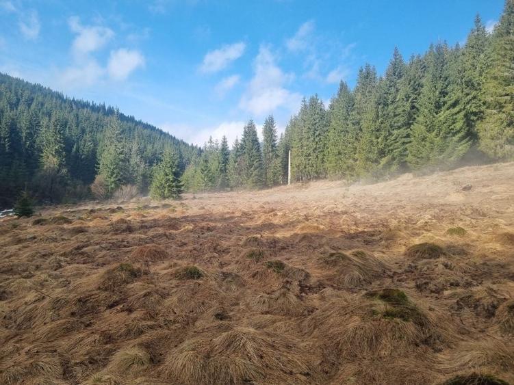 Teren de 43000 mp, în Fildu de Mijloc