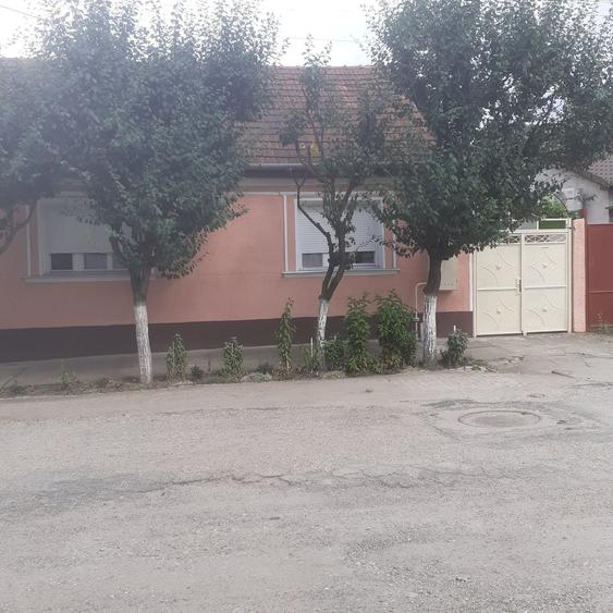 Vand casa micalaca - 1