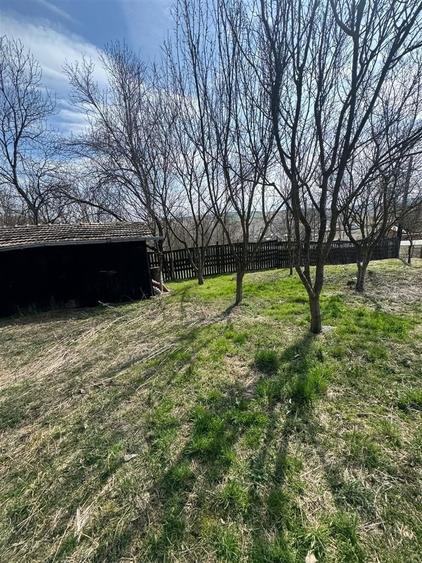 Teren Construcții intravilan de 11400 mp, în Corpadea