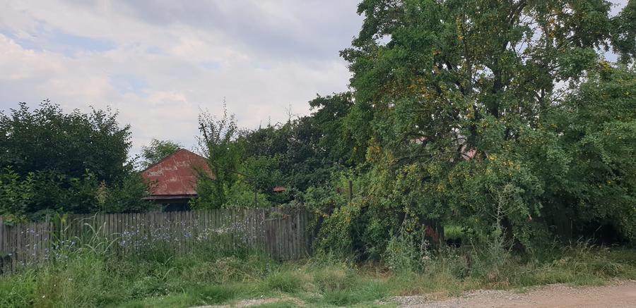Teren Construcții intravilan de 1976 mp, în Snagov