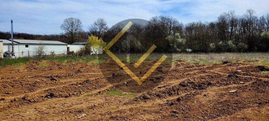 Teren Construcții intravilan de 4900 mp, în Cernica