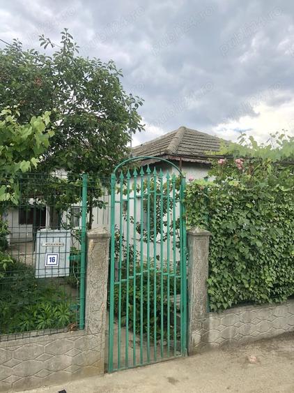Teren intravilan cu casa batraneasca in Caldararu Ilfov - 10