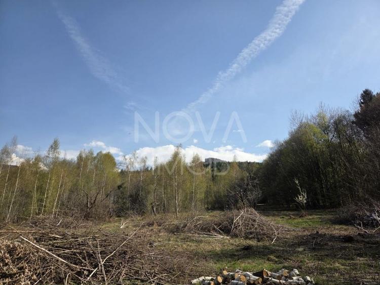 Teren Construcții intravilan de 4900 mp, în Viștișoara