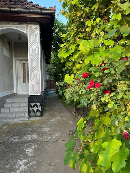 Casă cu 4 camere în Halmeu