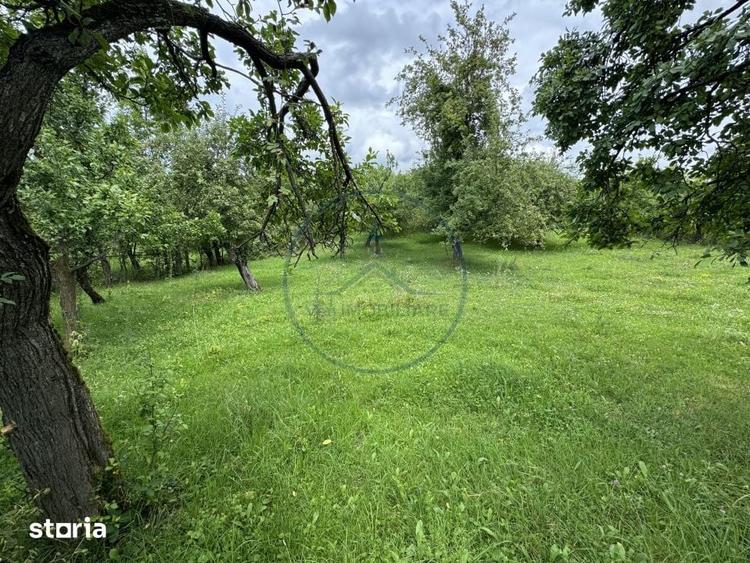 Teren intravilan | 22Ari. | Budacu de Sus, la doar 17 km de Bistrita - 1