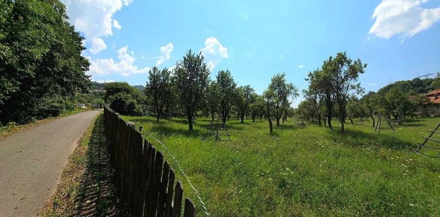 Teren de 8000 mp, în Căpățânenii Pământeni