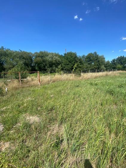 Teren intravilan de 800 mp, în Est