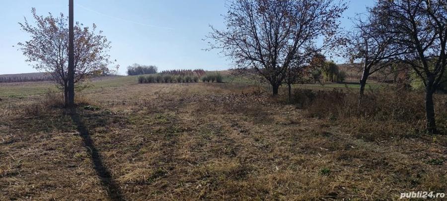 Teren de 3200 mp, în Schineni (Sascut)