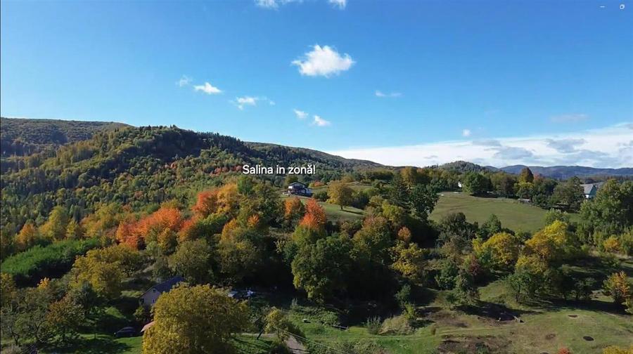 Teren Construcții intravilan de 3500 mp, în Cacica