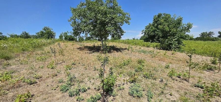 Teren de 2072 mp, în Stăncești