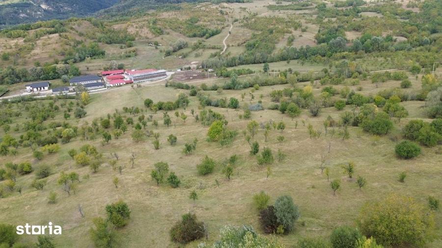 Teren de 8043 mp, în Berevoești