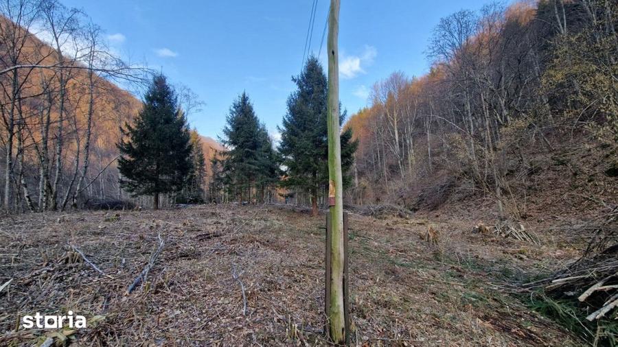 Teren Intravilan de Vanzare 3279 MP Coada Lacului Tarnita - 1