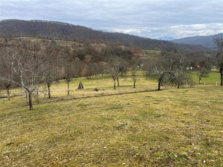Teren intravilan de 11423 mp, în Luncoiu de Jos