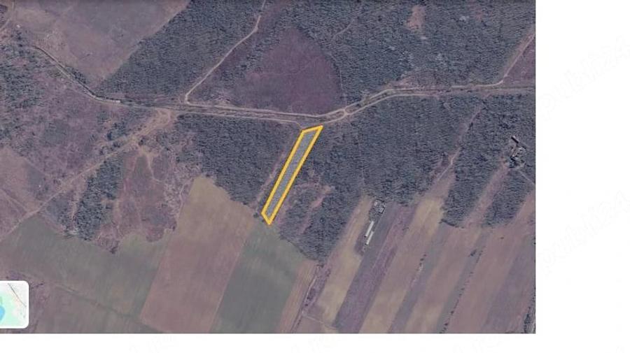 Teren de 5000 mp, în Central