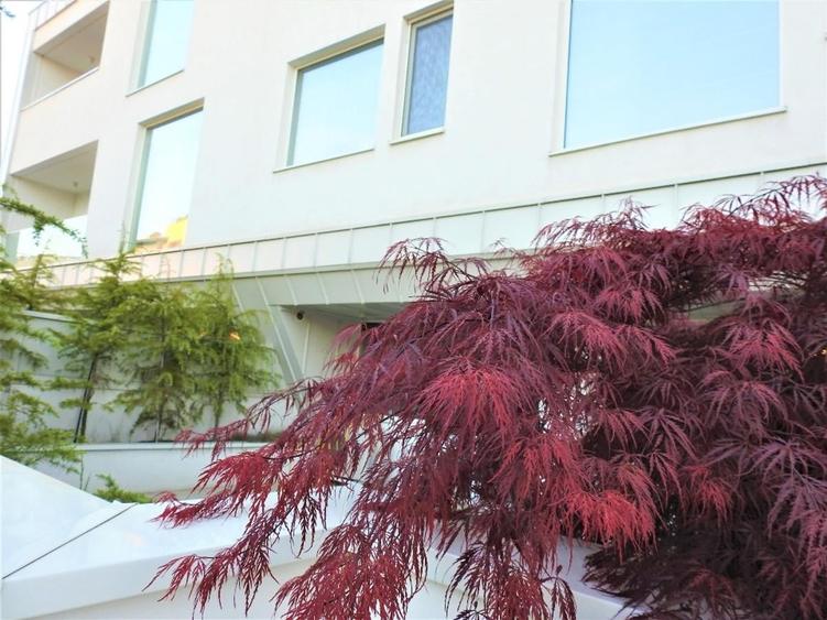 Apartament cu 3 camere decomandat, mobilat în Iancu Nicolae