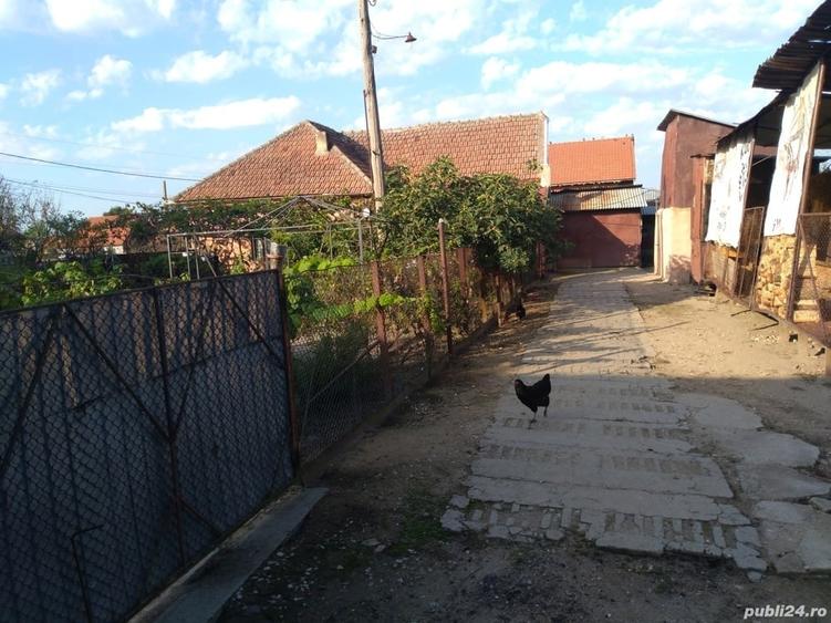 Casă în Berecuța