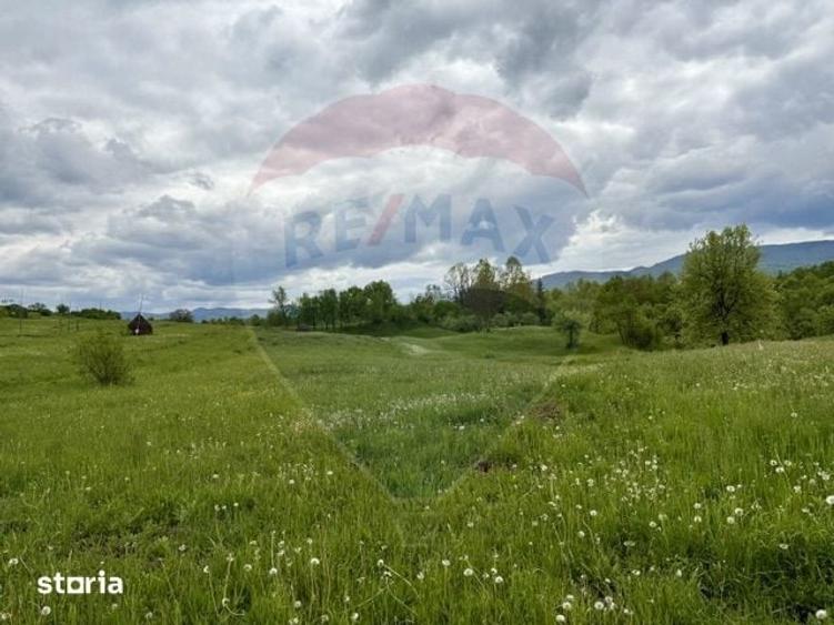 Teren de 20876 mp, în Breb