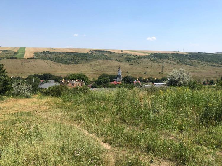 Teren de 5000 mp, în Vânători