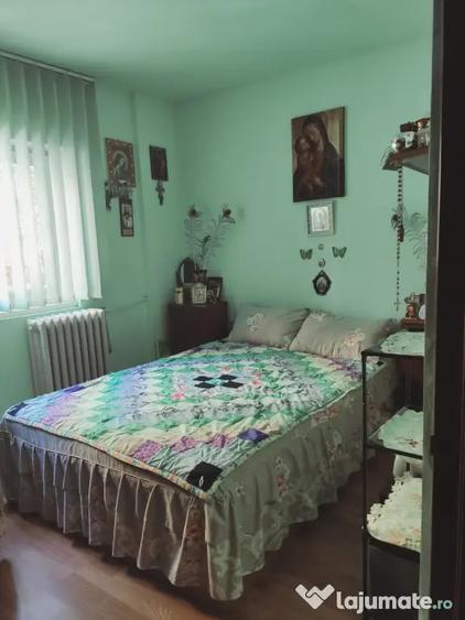 Vand apartament 2 camere la parter cu balcon in Brazda lui Novac - 8
