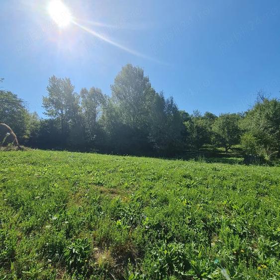 Teren de 7500 mp, în Prosia