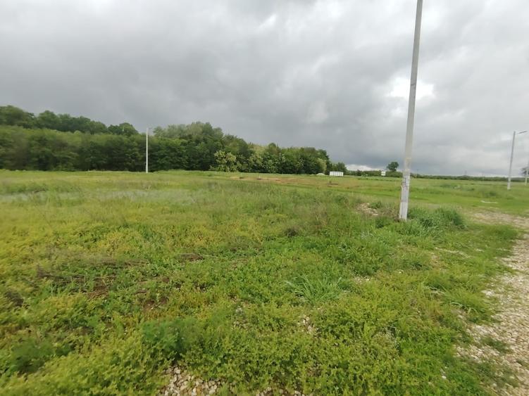 Teren Construcții intravilan de 860 mp, în Crevedia