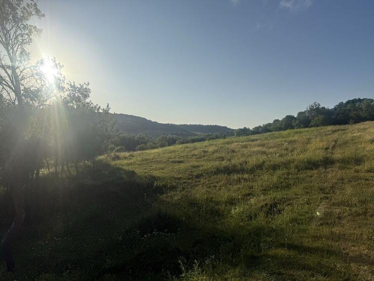 Teren de 7300 mp, în Șardu