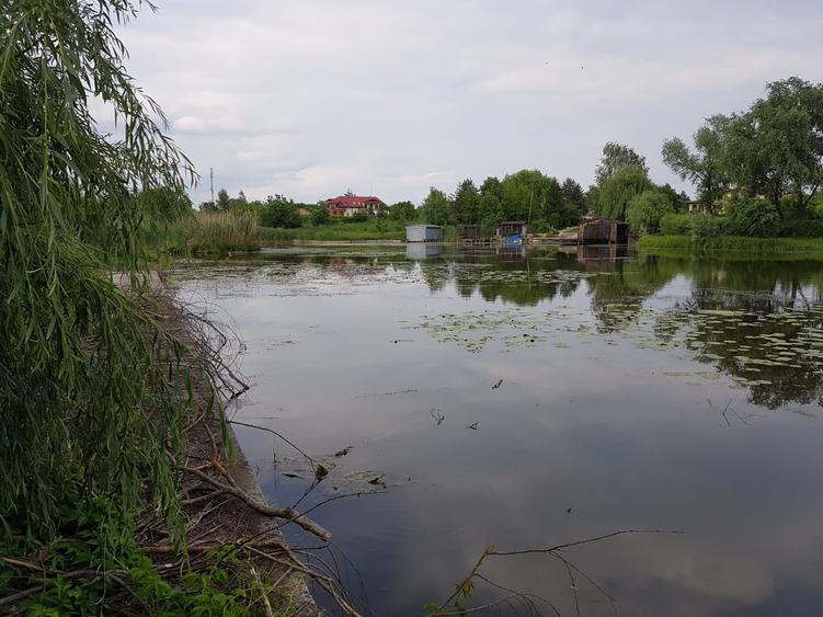 Teren Construcții intravilan de 19568 mp, în Siliștea Snagovului