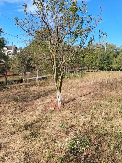 Teren Construcții intravilan de 750 mp, în Cocorăștii Mislii