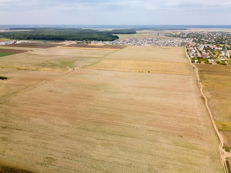 Teren Construcții intravilan de 7500 mp, în Dascălu