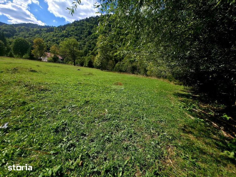 Teren de 1113 mp, în Tarcău