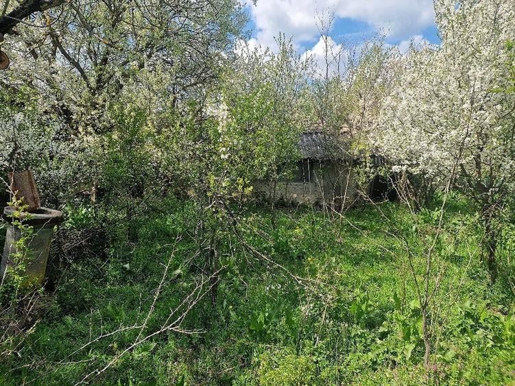 Teren de 3800 mp, în Moșteni