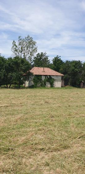 Casă cu 3 camere cu Teren 5513 Mp în Bratia din Deal