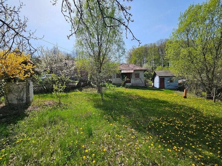 Teren de 3000 mp, în Dăești