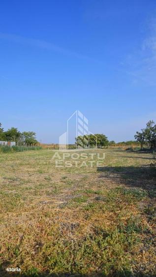 Teren intravilan de vanzare la Foeni, 13200 mp, front 24 m, Timis - 6