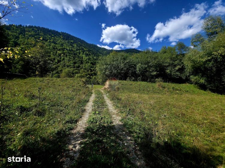 Teren de 1113 mp, în Tarcău