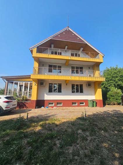 Casă individuală cu 8 camere cu Piscina în Frumușani