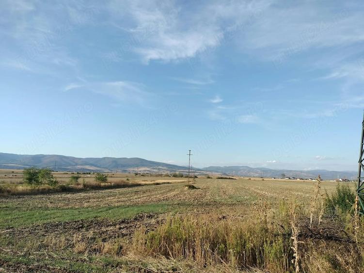 Teren de 8500 mp, în Central