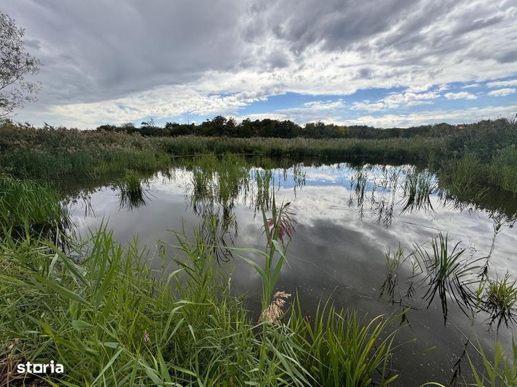 Teren cu deschidere la lac str Orhideelor-conectare imediata la curent - 13