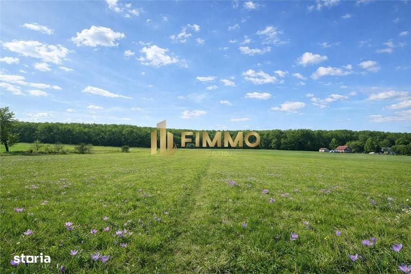 Spațiu comercial, în Dragomirna