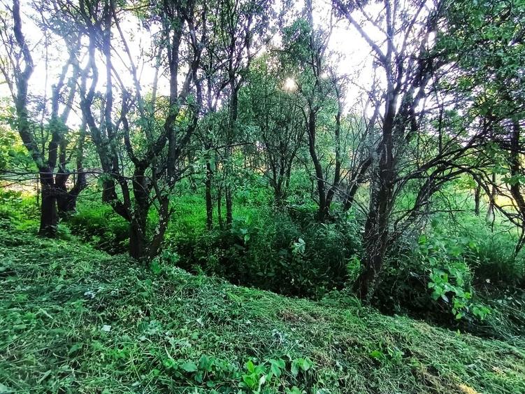 Teren de 1340 mp, în Gheorghieni