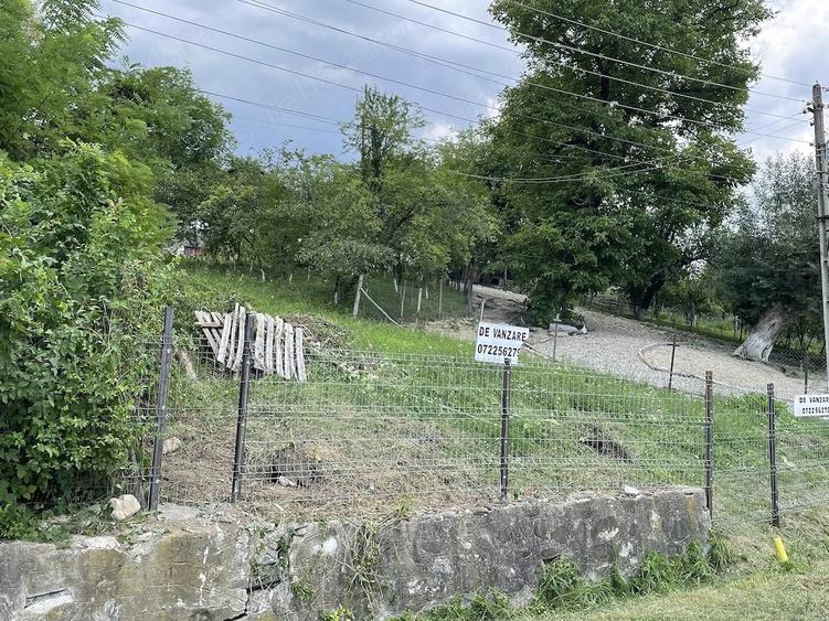 Teren de 4160 mp, în Provița de Sus