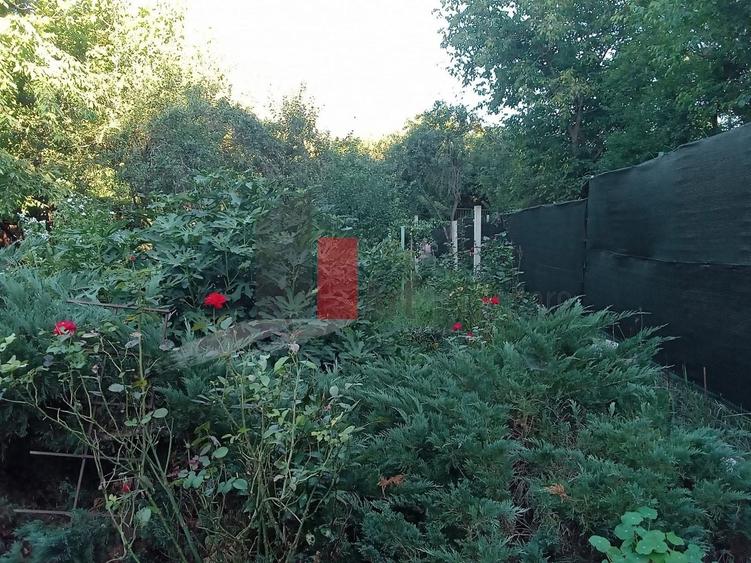 Teren Construcții intravilan de 630 mp, în Dărăști-Vlașca