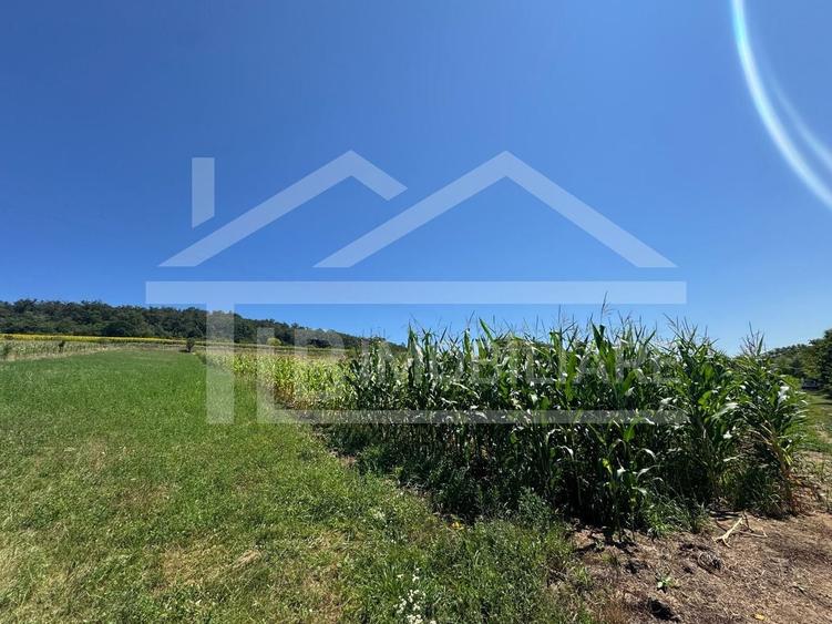 Teren agricol intravilan de 1735 mp, în Remetea