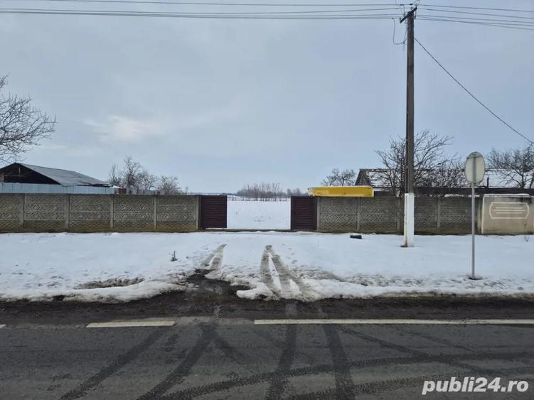Teren de 140000 mp, în Foeni