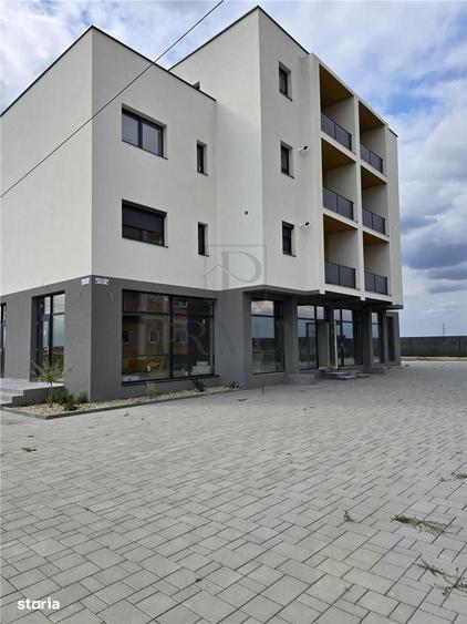 Apartament cu 2 camere în Moșnița Nouă