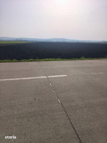 Teren de 9300 mp, în Satu Mare