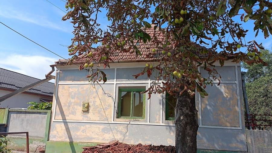Casă cu 4 camere în Exterior Vest