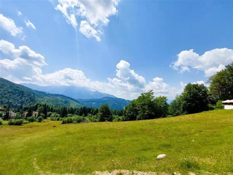 Teren Construcții intravilan de 80000 mp, în Vlădeț - Trei Brazi