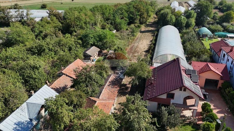 Teren Construcții intravilan de 3357 mp, în Olari